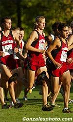 Stanford received 100 NACDA Directors' cup points from the men's cross country team that captured the NCAA Championship in November.