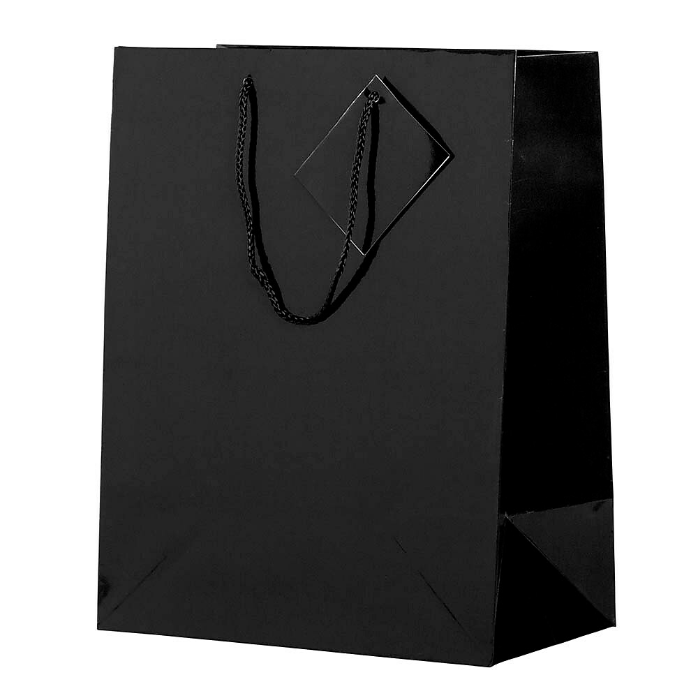  JPD673GLBLA  JAM Paper Glossy Gift Bags - Large - 10 x 13 x 5  - Black - 6 Pack (673GLbla)