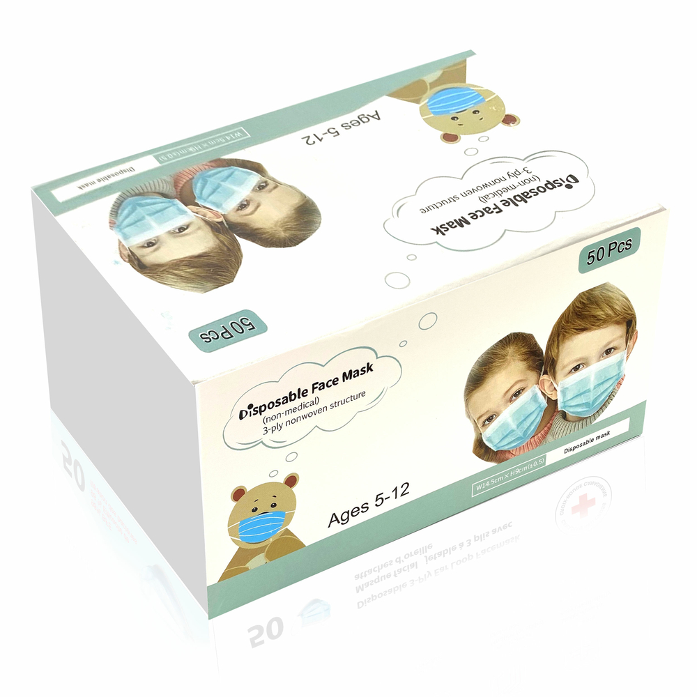 3 Ply Face Mask Pack Of 20