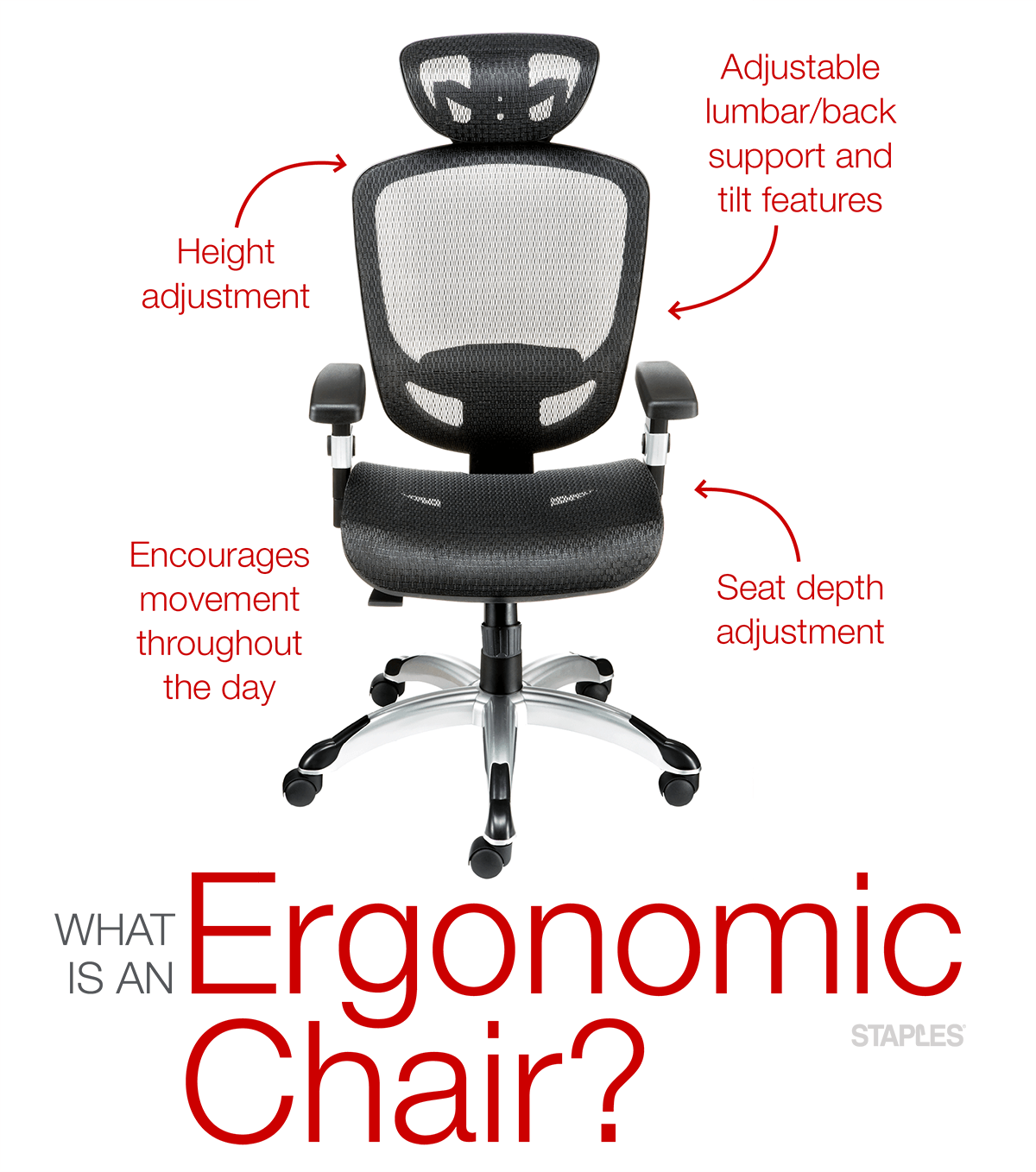 Ergonomic Chairs