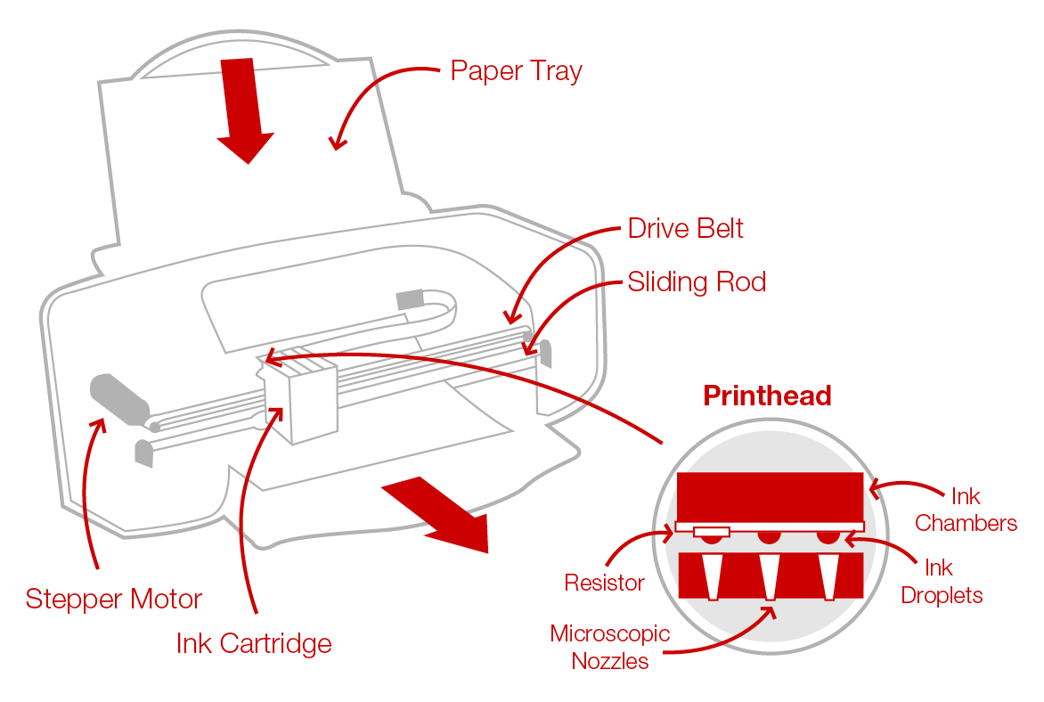 Printer Labeled Diagram 8555