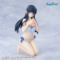 The Irregular at Magic High School Yumemirize - Miyuki Shiba