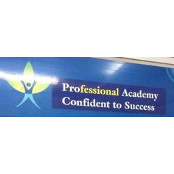 Professional Academy