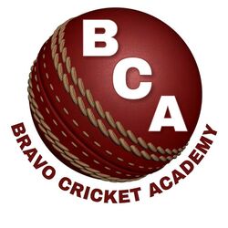 Bravo Cricket Academy