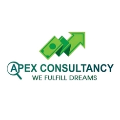 Apex Consultancy