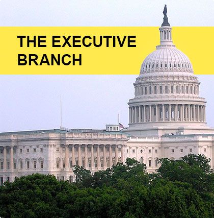 The-Executive-Branch.jpg