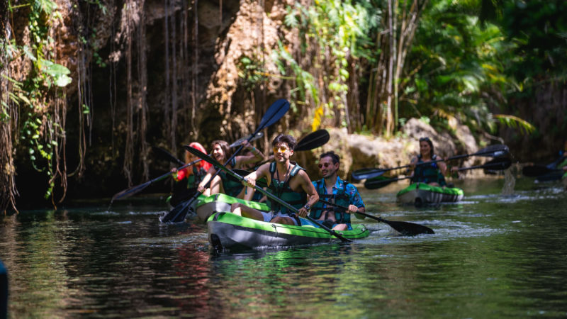 excursions from the festival into cancun wild