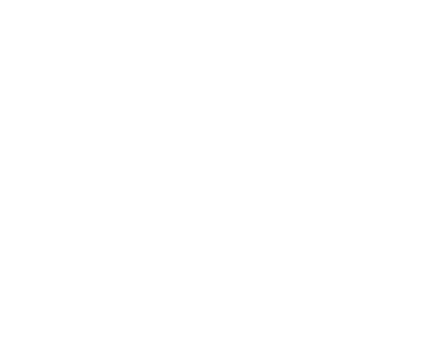 logo of Disco Donnie Presents