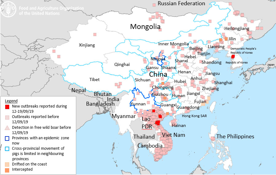 東亞非洲豬瘟蔓延圖，統計至2019-09-19（圖／聯合國農糧組織）