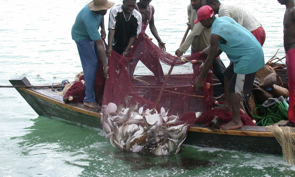 打擊非法捕撈、漁業（圖／M-Rwimo／CC BY-SA 4.0）