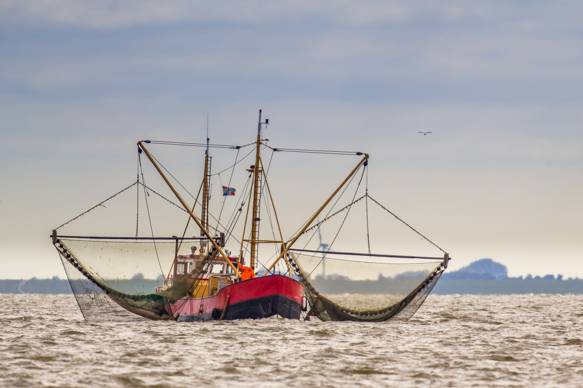 Shrimp fishing cutter vessel on the Wadden sea