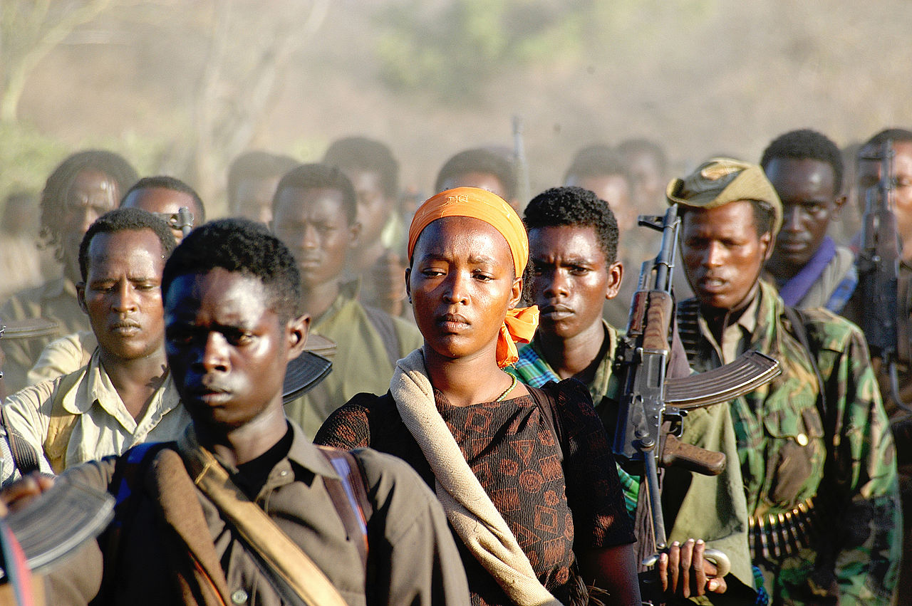 歐羅莫解放軍（Oromo Liberation Army）（圖／Jonathan Alpeyrie／CC BY-SA 3.0）