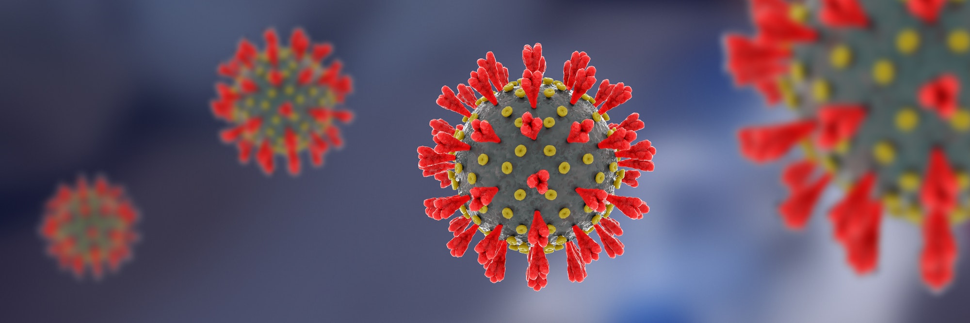 New coronavirus with on black background wide banner