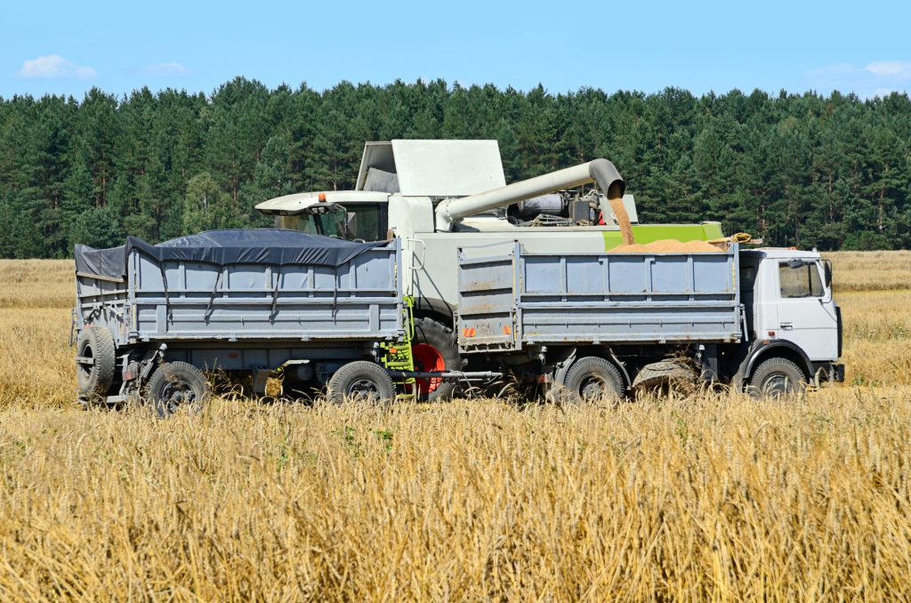 Harvesting in a field