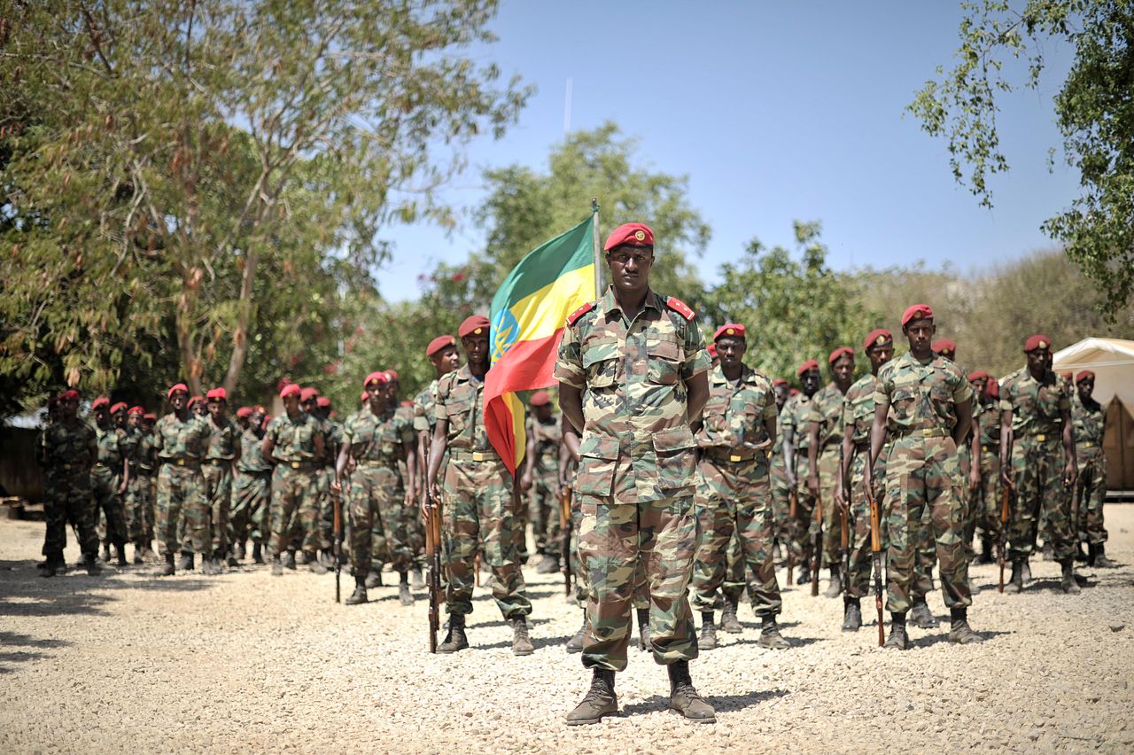 1280px-2014_01_22_Ethiopia_Welcome_Ceremony（圖／AMISOM Public Information／CC0 1.0）