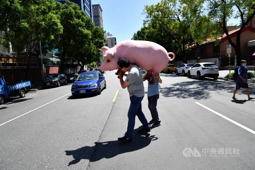 國民黨反對含萊克多巴胺美國豬肉進口發起公投，23日到中選會送出第一階段連署書，黨工將道具豬從中選會抬回立法院。