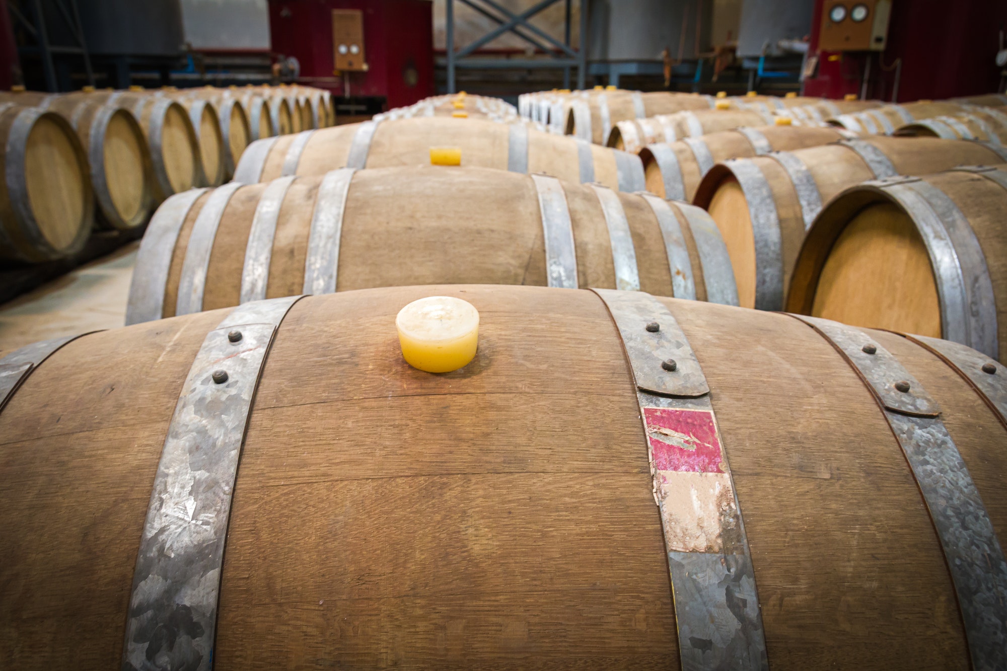 Wine barrels in the cellar of the winery