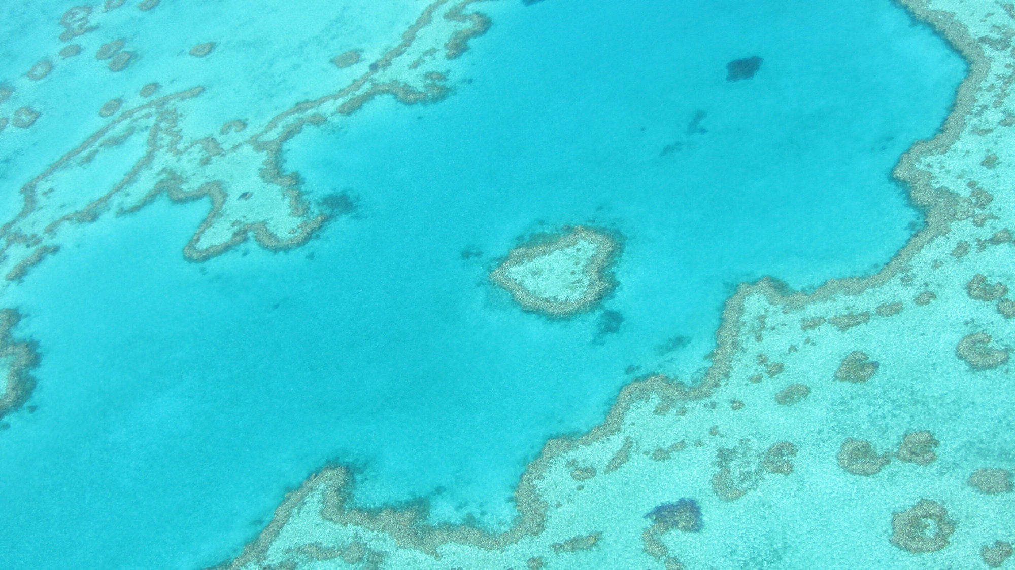 Aerial shot of Heart Island on the Great Barrier Reef