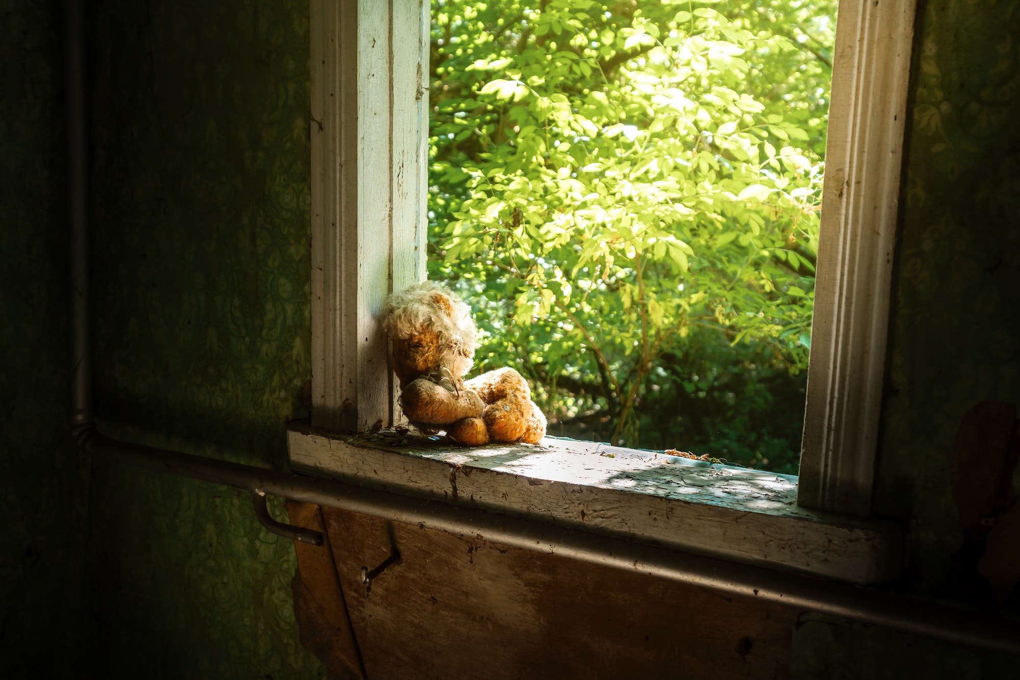 Abandoned stuffed toy - Zalissya Village, Chernobyl Exclusion Zone, Ukraine