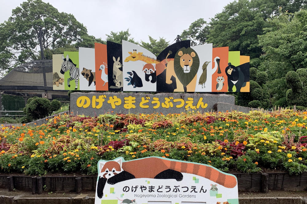 野毛山動物園