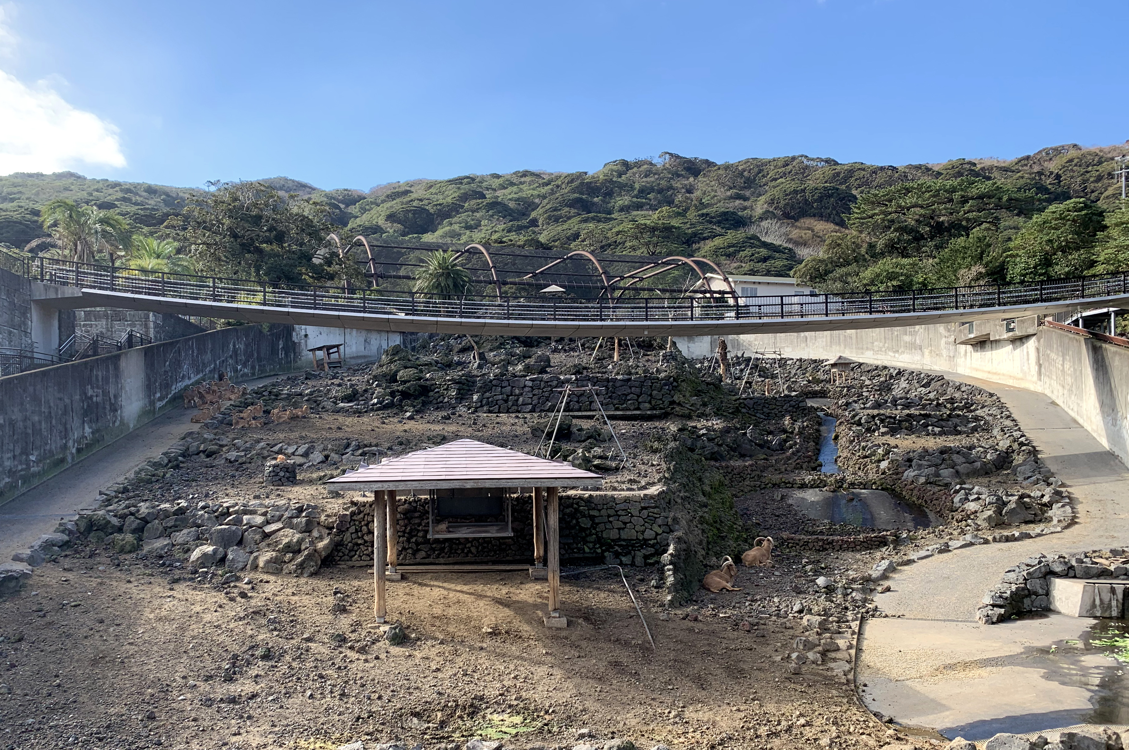 都立大島公園動物園（2）