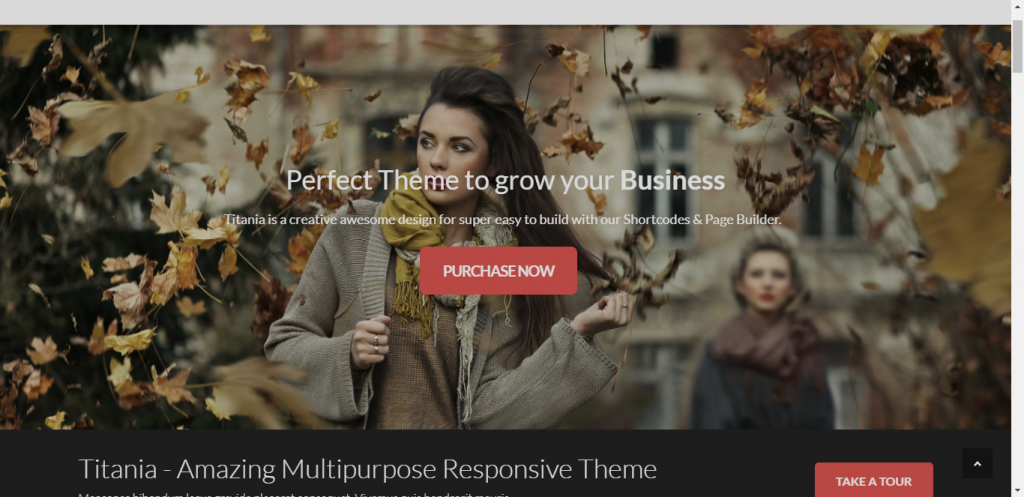 clothing store wordpress theme provided by titania