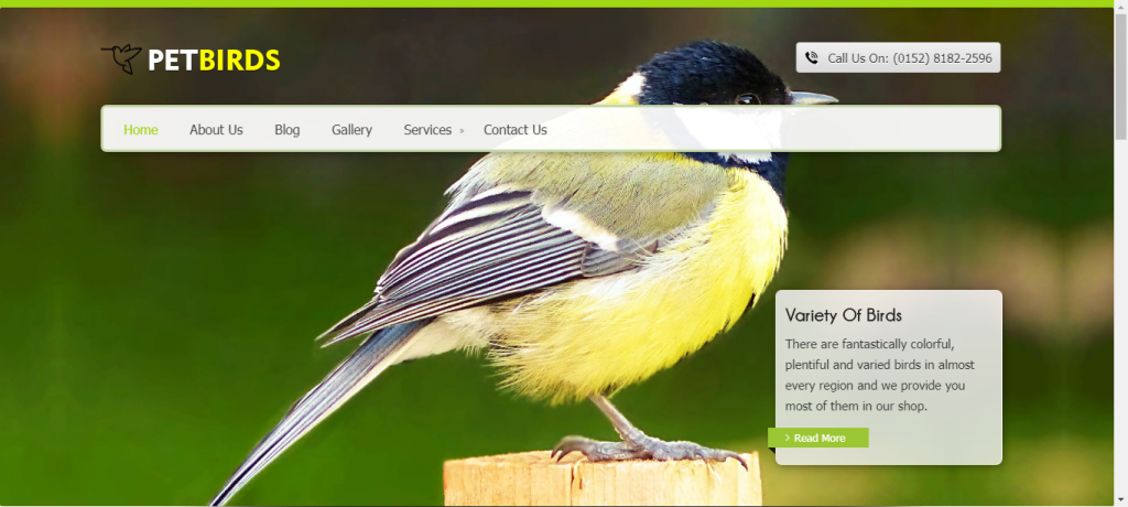 Petshop WordPress eCommerce theme for pet birds