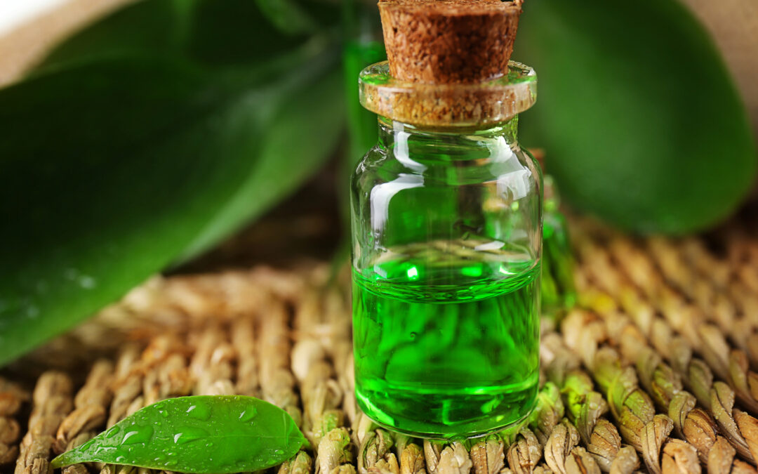 Tea tree