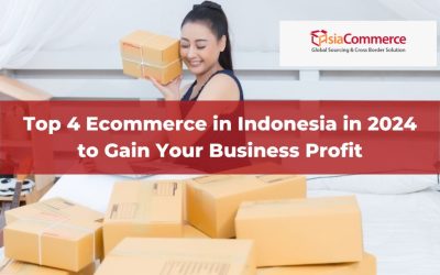 Top Ecommerce in Indonesia in 2024 to Gain Your Business Profit