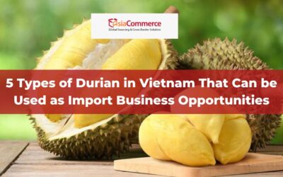 5 Types of Durian in Vietnam That Can Be Used as Import Business Opportunities
