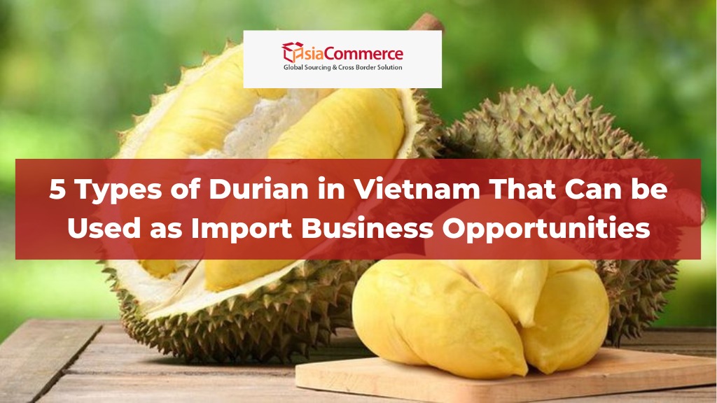 5 Types of Durian in Vietnam That Can Be Used as Import Business Opportunities