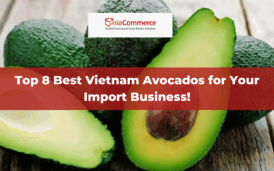 Top 8 Best Vietnam Avocados for Your Import Business!
