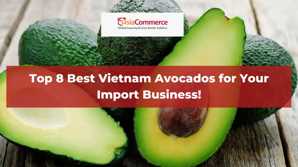 Top 8 Best Vietnam Avocados for Your Import Business!