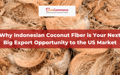 Why Indonesian Coconut Fiber is Your Next Big Export Opportunity to the US Market
