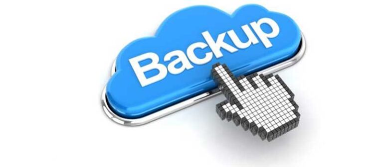 cost per month for data backup software companies