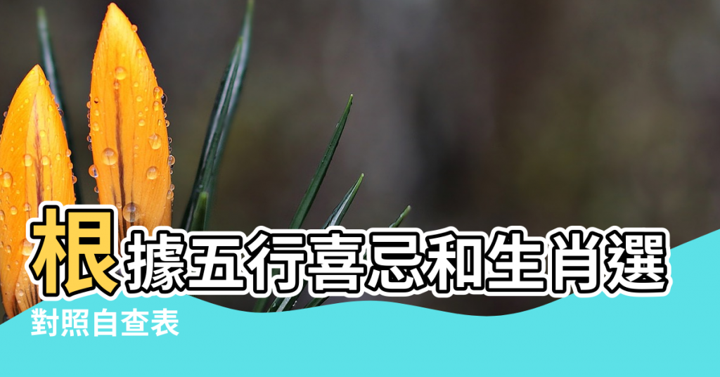 【根據五行怎樣選東西戶】根據五行喜忌和生肖選擇樓層風水 |對照自查表 |五行齊全有何好處 |