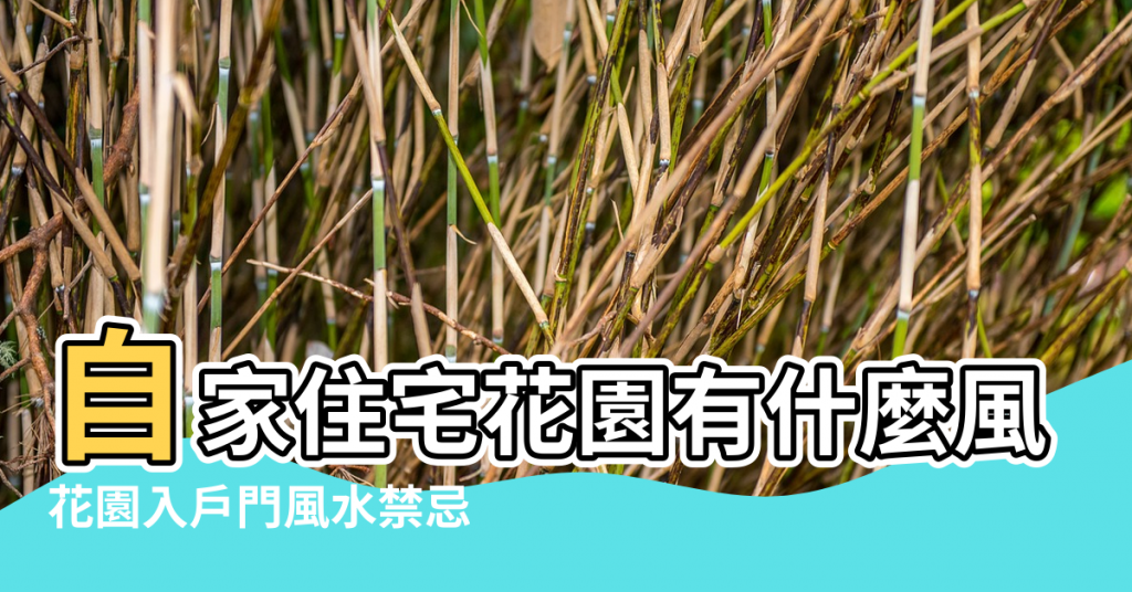 【花園門 風水】自家住宅花園有什麼風水講究 |花園入戶門風水禁忌 |別墅花園風水禁忌全面解讀 |