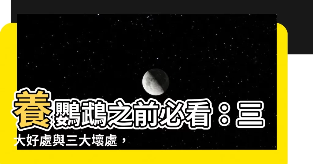 【養鸚鵡的好處】養鸚鵡之前必看：三大好處與三大壞處，讓你決定是否適合養鸚鵡！