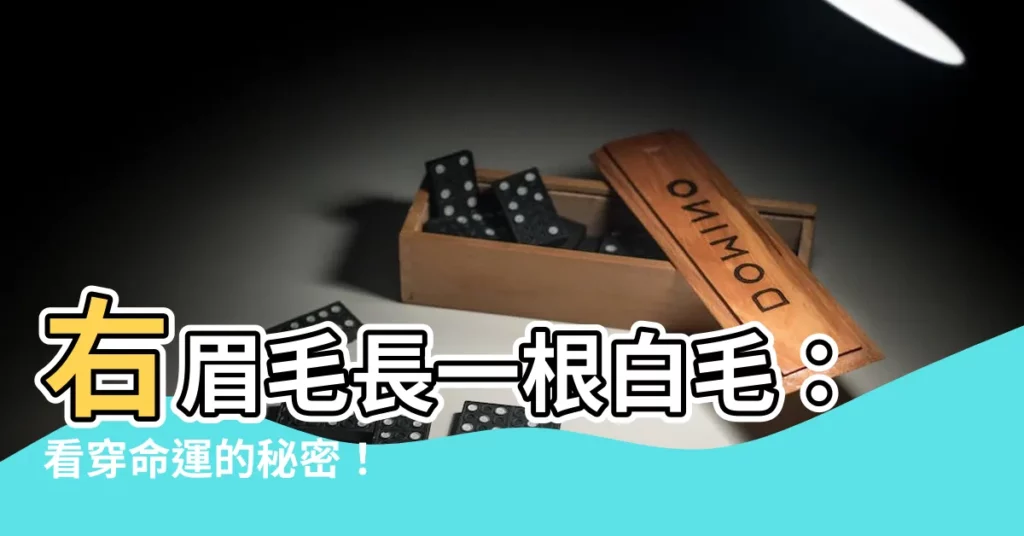 【右眉毛長一根白毛】右眉毛長一根白毛：看穿命運的秘密！