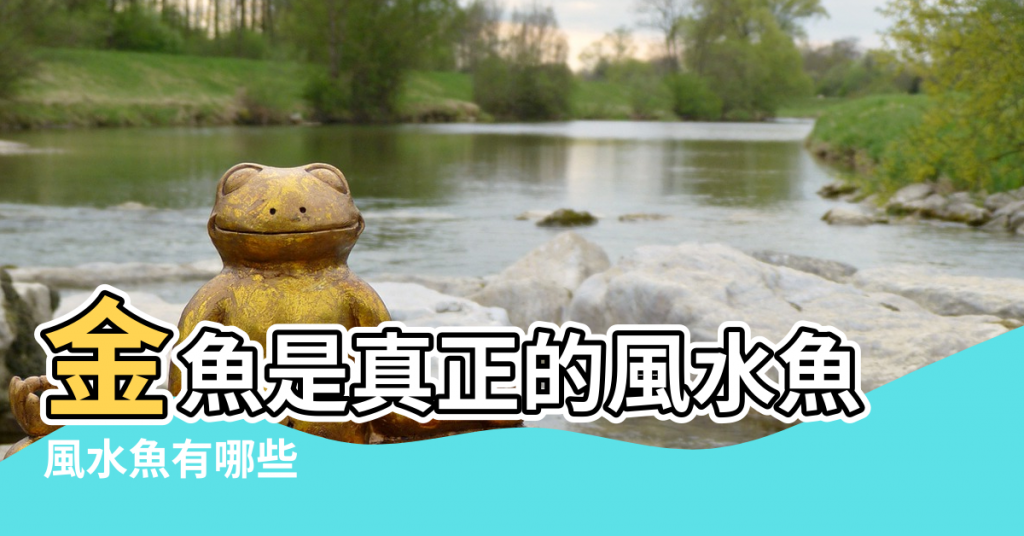 【活的久的風水魚有哪些】金魚是真正的風水魚 |風水魚有哪些 |但是這次風水觀賞魚都給你 |