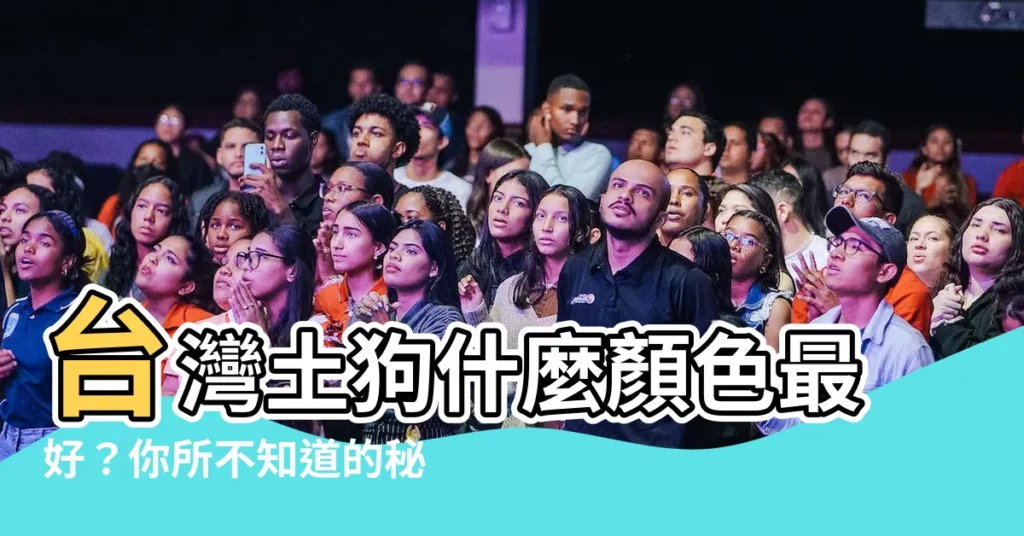 【土狗顏色】台灣土狗什麼顏色最好？你所不知道的秘密！