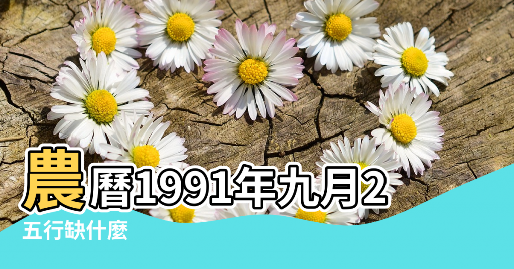 【1991年11月2日五行屬什麼】農曆1991年九月27日女命生辰八字五行算命 |五行缺什麼 |1991年11月1日出生的人是什麼命 |