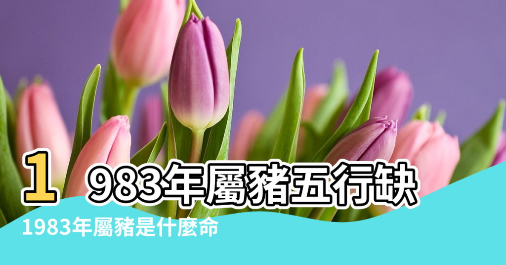 【1983豬的五行】1983年屬豬五行缺什麼83年屬豬五行是什麼 |1983年屬豬是什麼命 |1983年 |