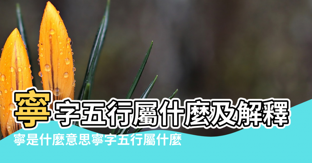 【寧字是幾畫五行是什麼意思】寧字五行屬什麼及解釋 |寧是什麼意思寧字五行屬什麼 |寧字意思五行屬什麼 |