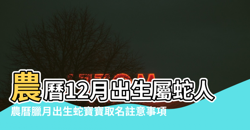 【蛇年臘月出生 五行】農曆12月出生屬蛇人命好嗎 |農曆臘月出生蛇寶寶取名註意事項 |農曆臘月出生蛇寶寶取名註意事項 |