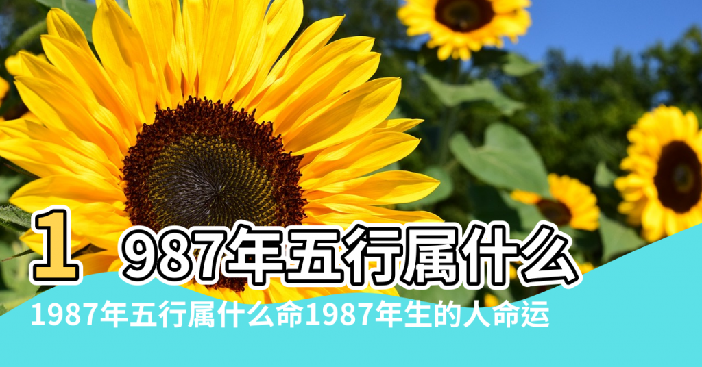 【1987年6月初2五行屬什麼生肖】1987年五行属什么 |1987年五行属什么命1987年生的人命运 |1987年出生是什么命 |