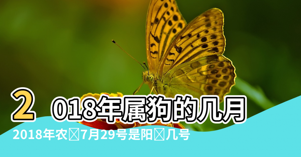 【2018年農曆九月初八五行屬什麼】2018年属狗的几月出生最好 |2018年农历7月29号是阳历几号 |五行缺什么 |