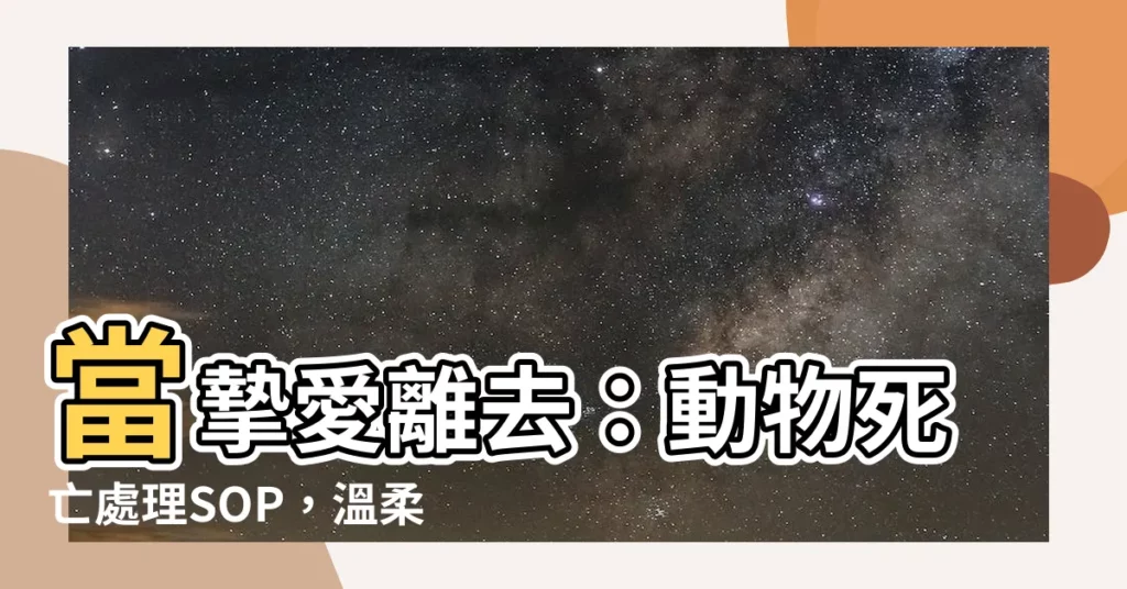 【動物死亡處理】當摯愛離去：動物死亡處理SOP，温柔陪伴牠走完最後一程