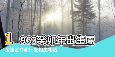 【1963年命裡五行缺什麼】1963癸卯年出生屬兔的五行缺什麼 |金箔金命和什麼相生相剋 |1963年屬兔五行屬水缺火命中多遇小人 |