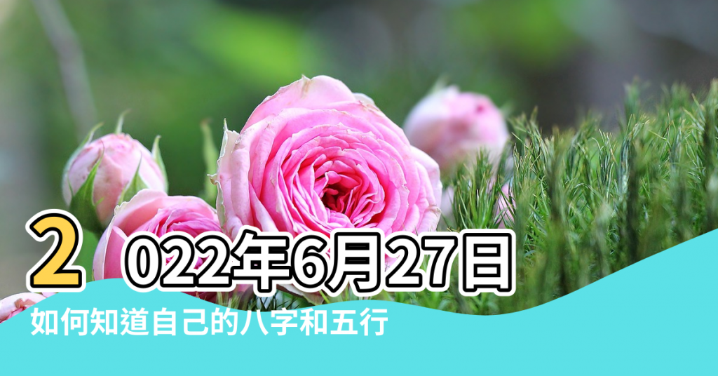 【2017.農曆6.27. 五行】2022年6月27日出生的人五行缺什麼 |如何知道自己的八字和五行 |八字入門 |